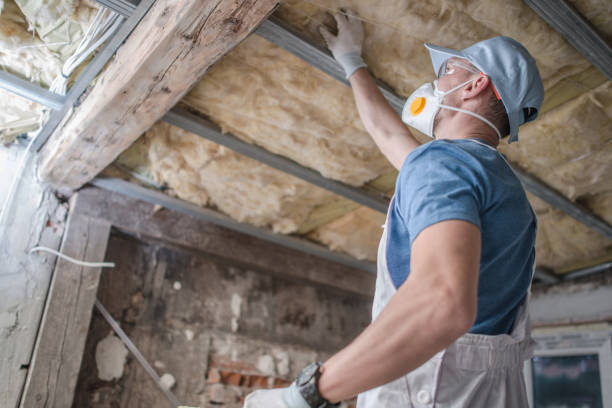 Best Spray Foam Insulation in Pelican Bay, TX